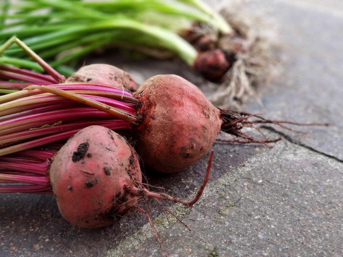 Beet greens being sauteed as a zero-waste side dish