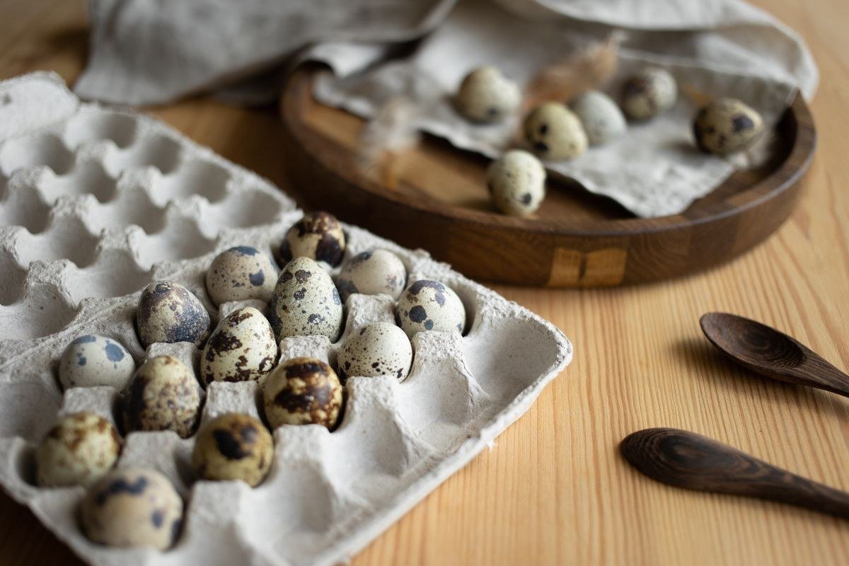 Storing leftover deviled eggs safely
