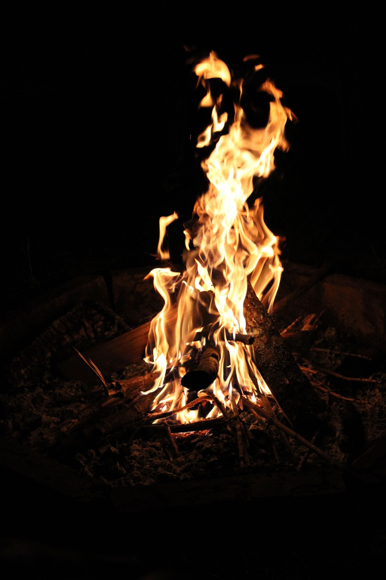 A blazing campfire illuminating the night with vibrant flames