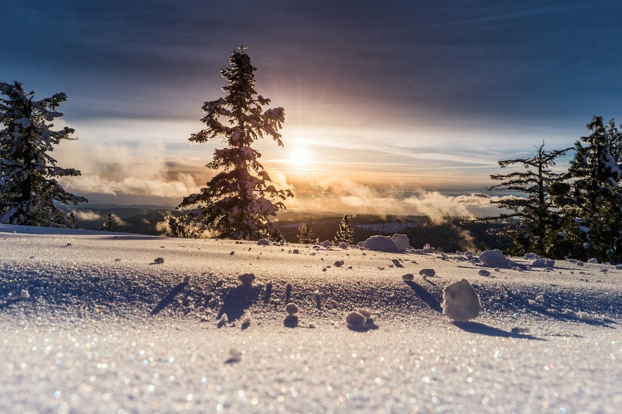 Snow-covered winter landscape glowing at sunrise