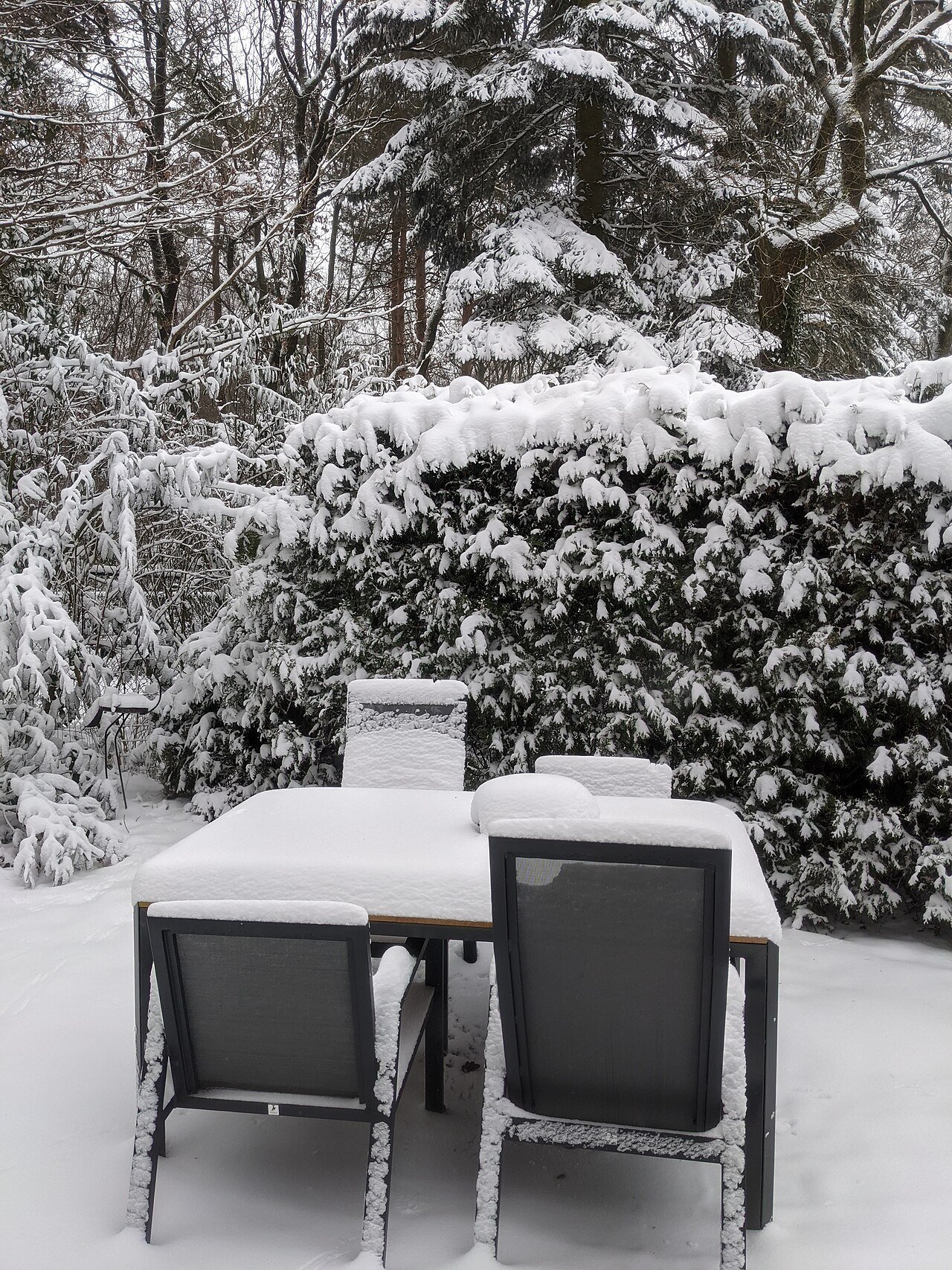 Snow-covered patio furniture in a winter garden