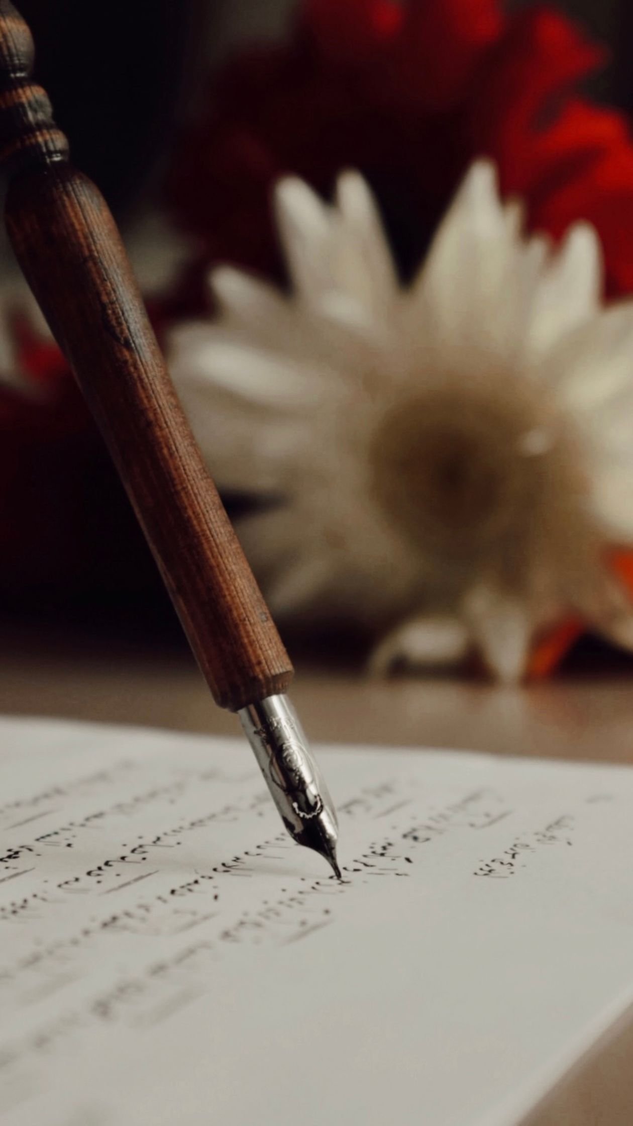 Questions to Ask a New Pen Pal example for Pen pal ideas