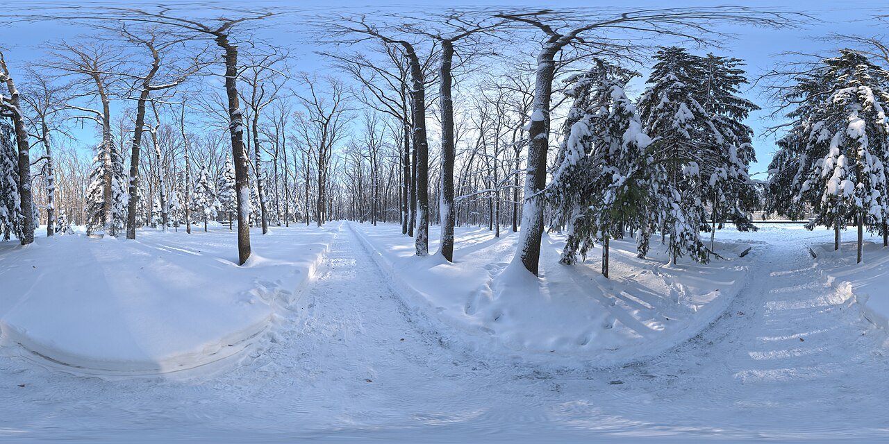 Snowy forest path panorama in winter