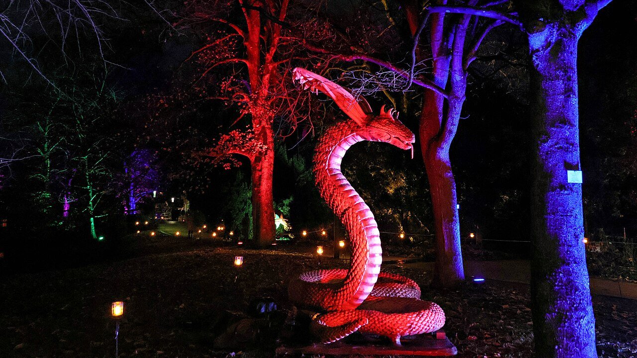 Winter garden illuminated with festive lights at night