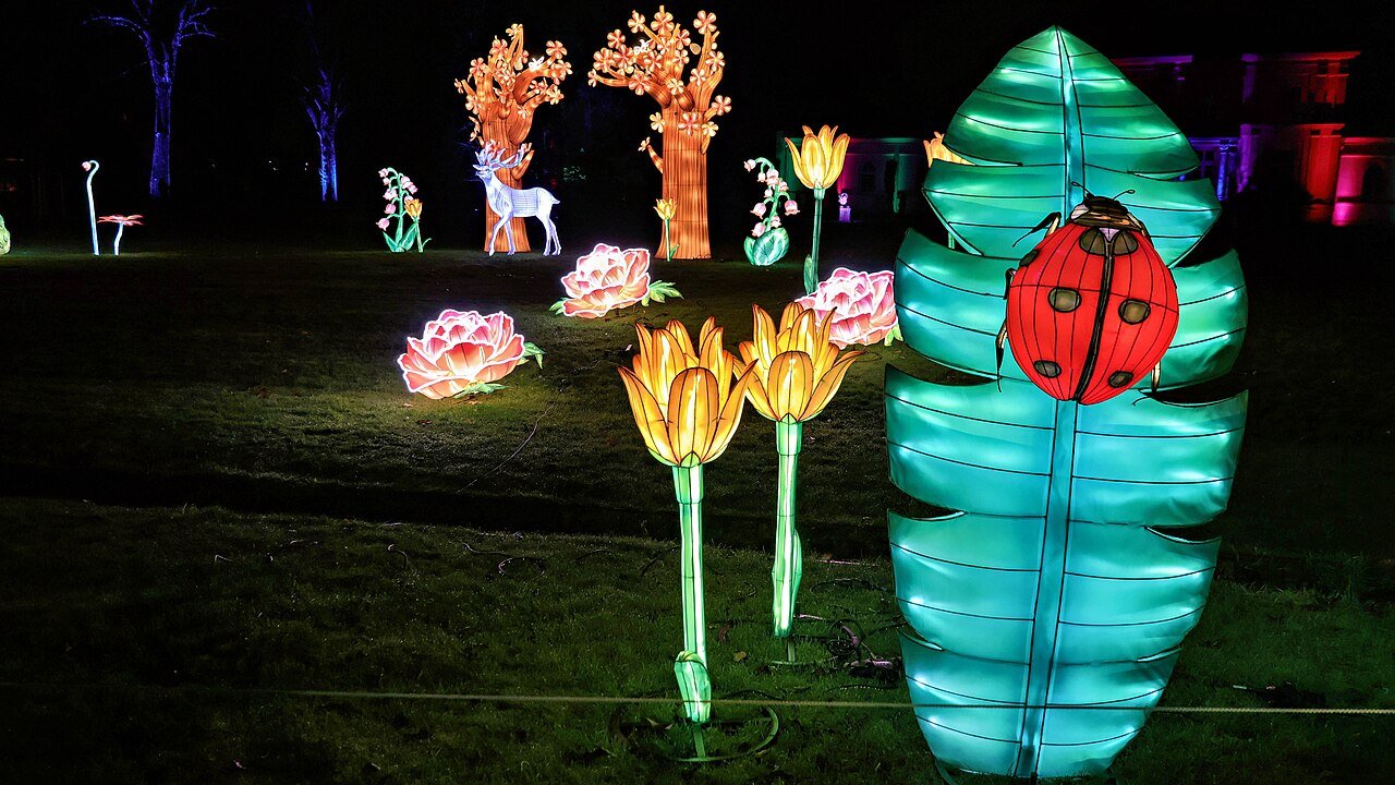 Winter lights glowing in a botanical garden at night
