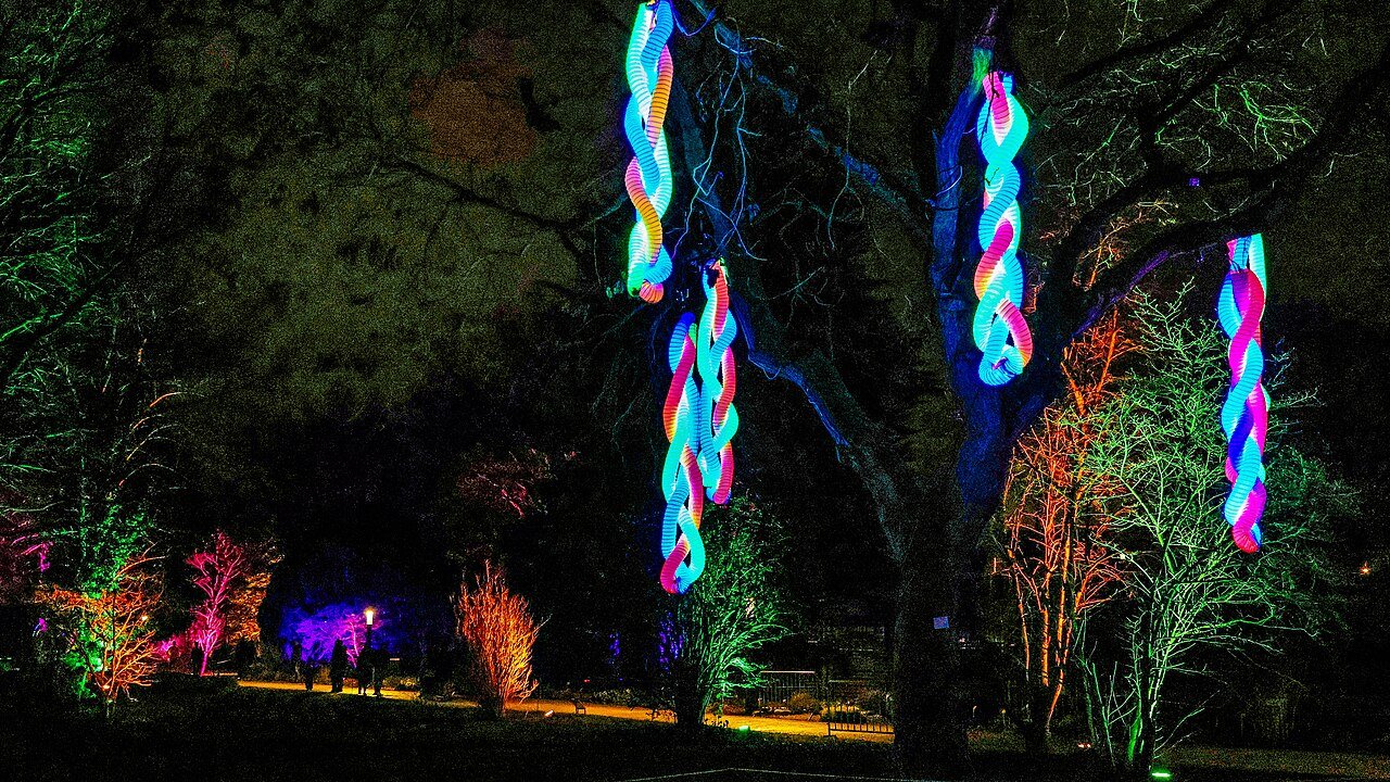 Garden glowing with winter lights and cozy atmosphere