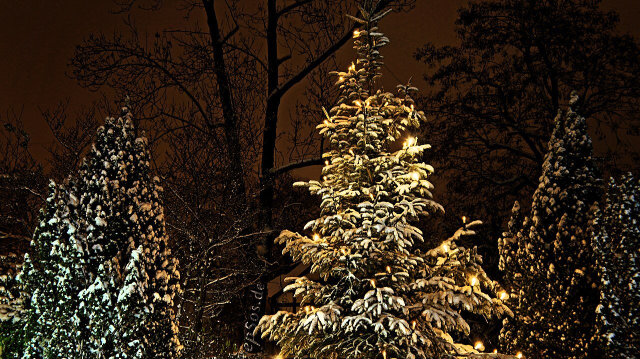Christmas tree lights glowing in the winter night