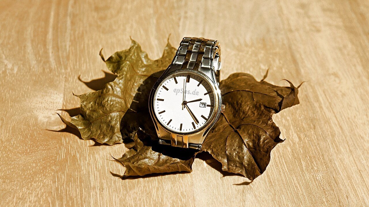 Wristwatch resting on a dry autumn leaf