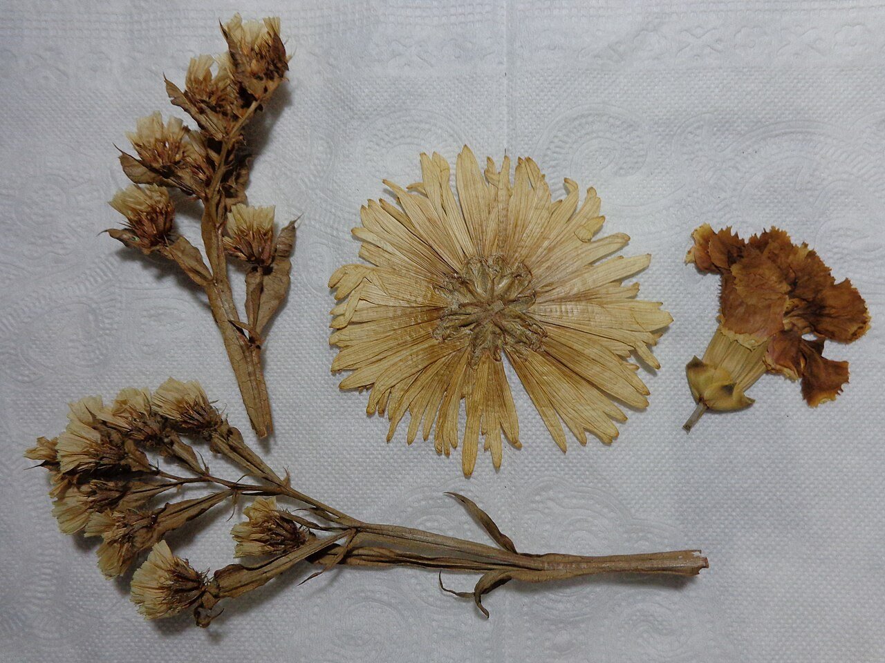 Dried flower arrangement in natural tones