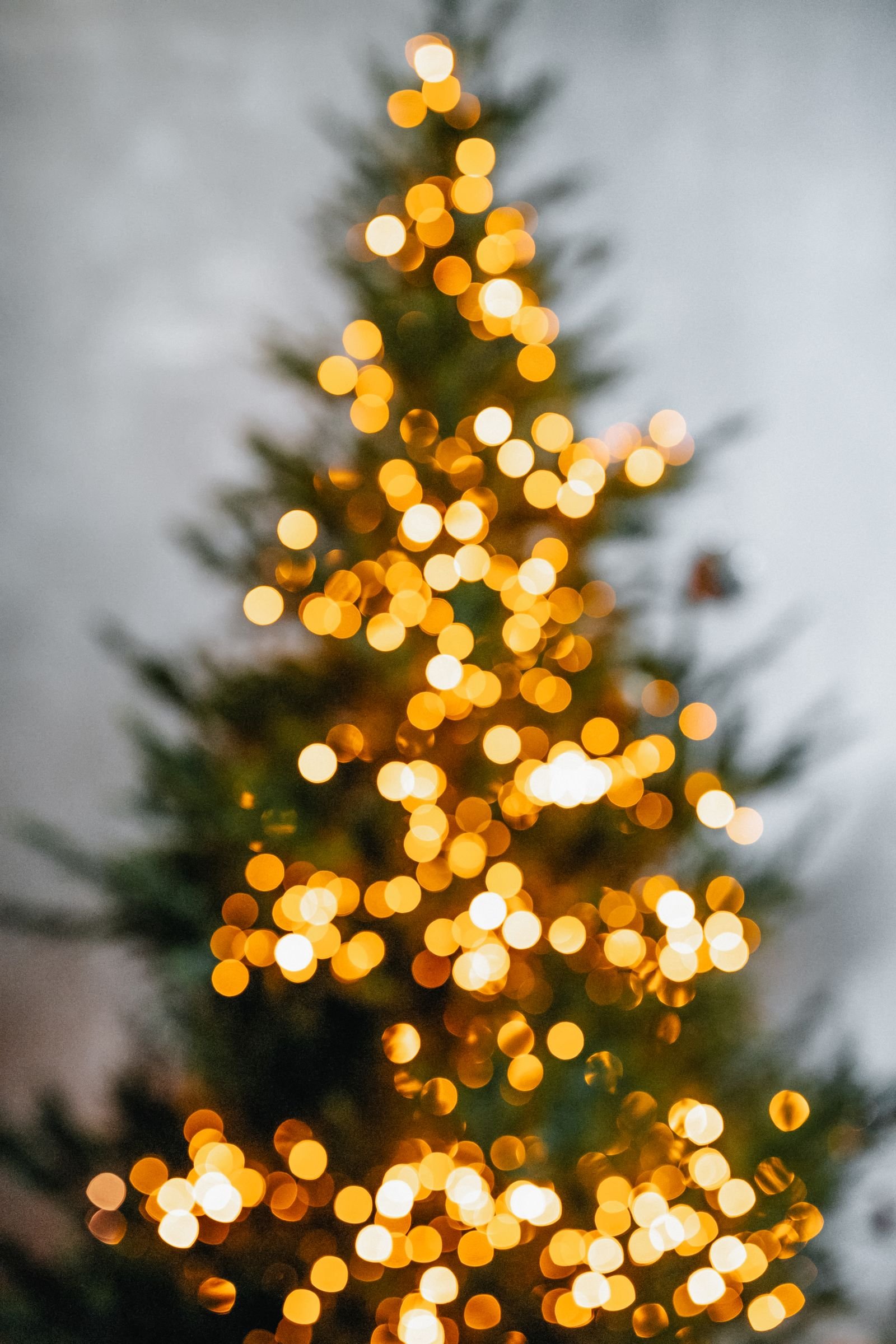 Eucalyptus and pine garland bridging autumn and Christmas table styling