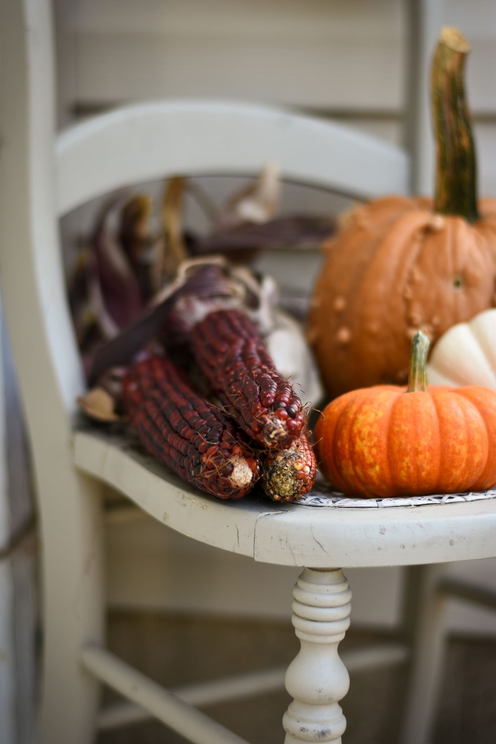Rustic fall arrangement of pumpkins and corn on a vintage chair