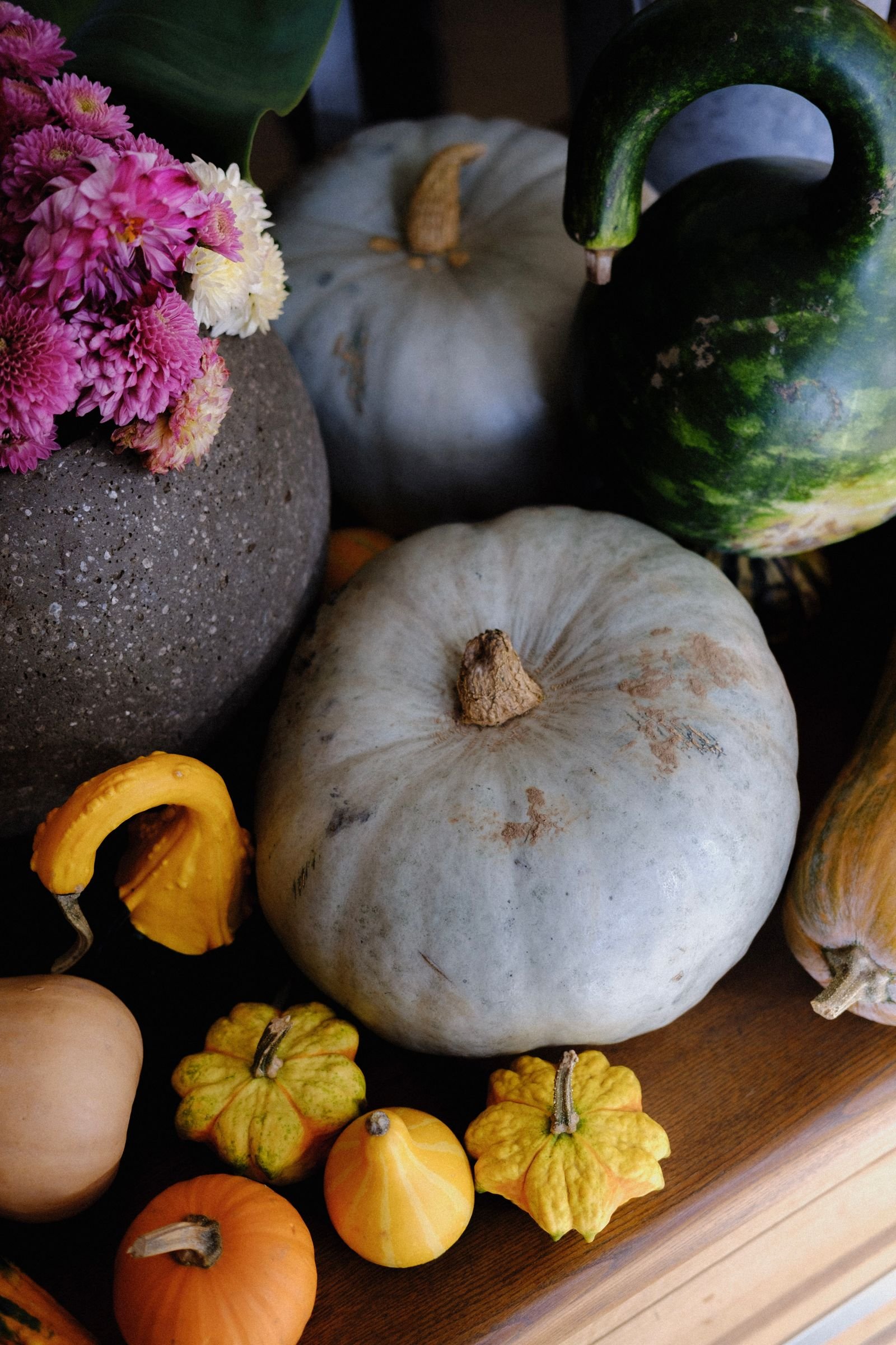 Autumn display with ornamental pumpkins and flowers for fall décor