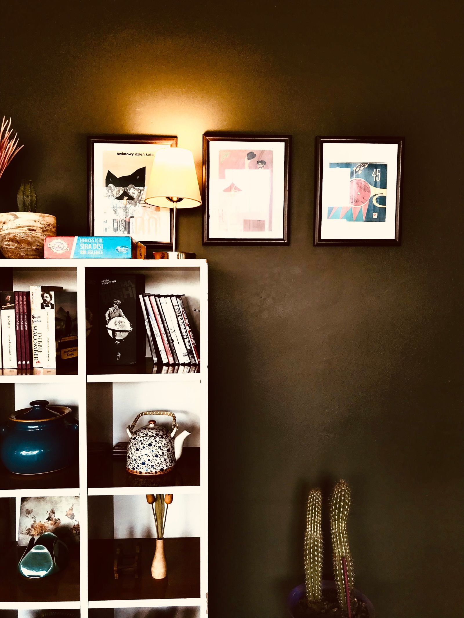 Dark botanical prints styled on a living room feature wall