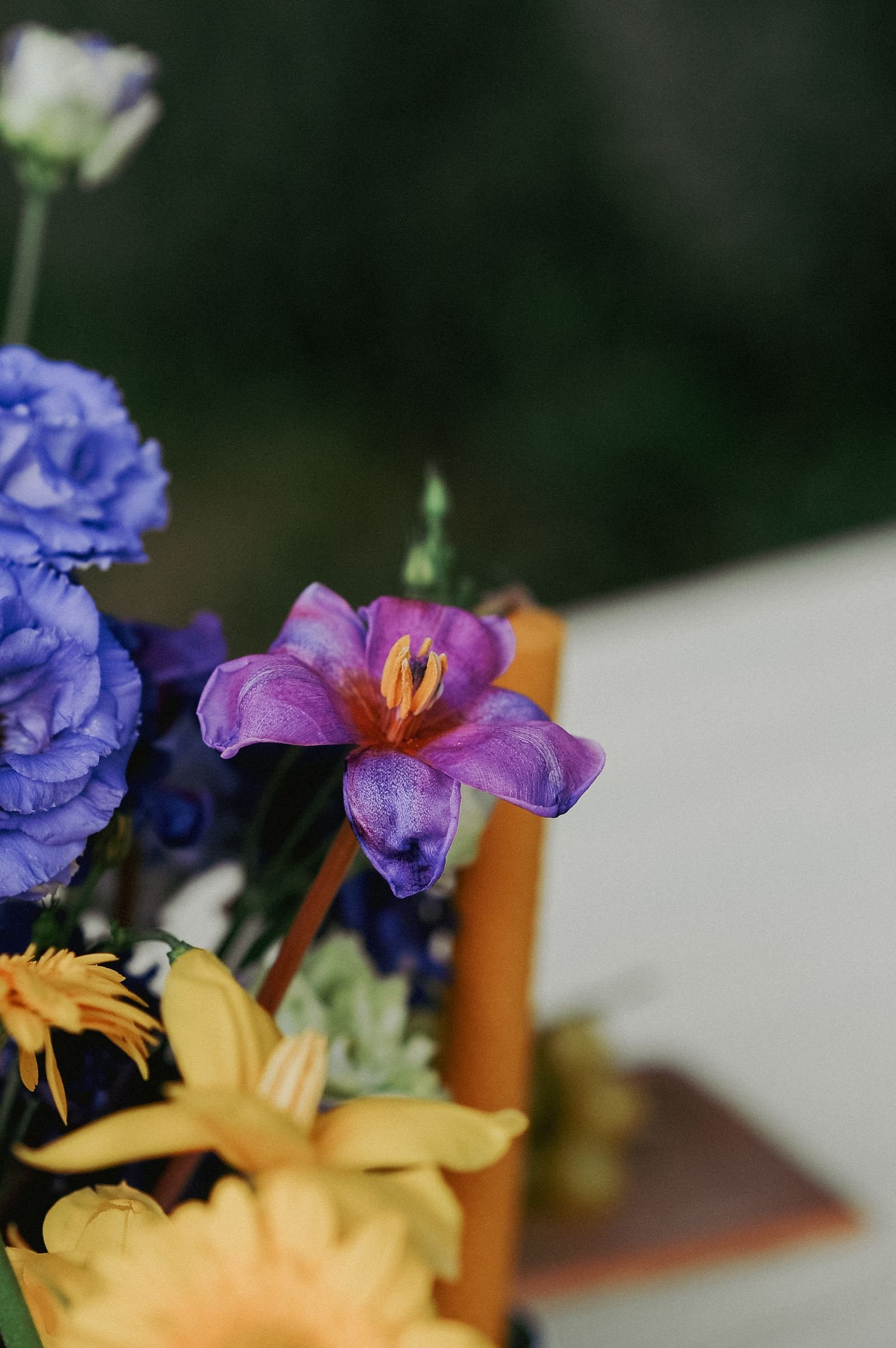 Dark floral botanical print glowing under warm picture lighting