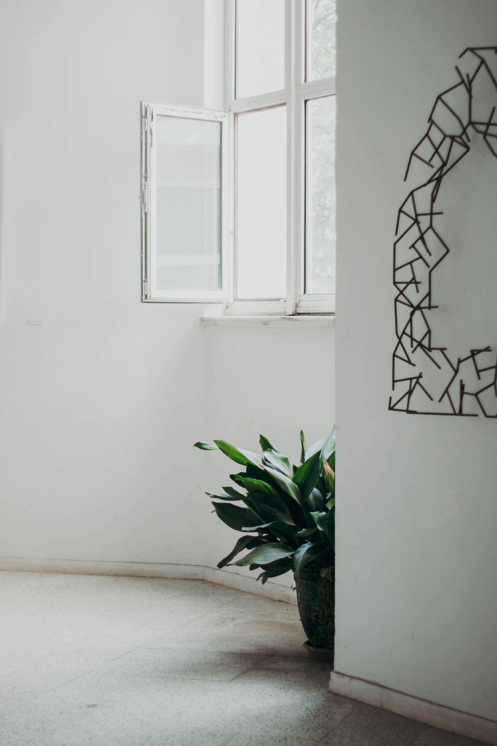 Bright room with potted plant and abstract botanical wall art