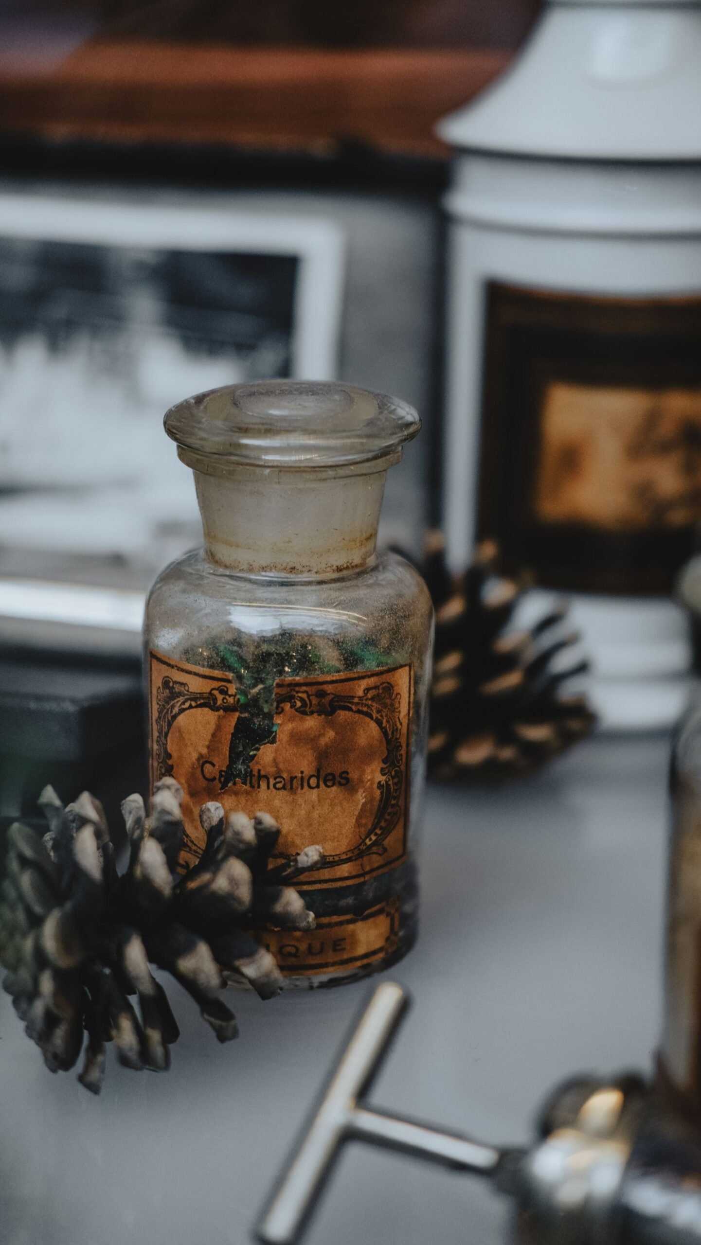 Close-up of a vintage apothecary bottle surrounded by pinecones