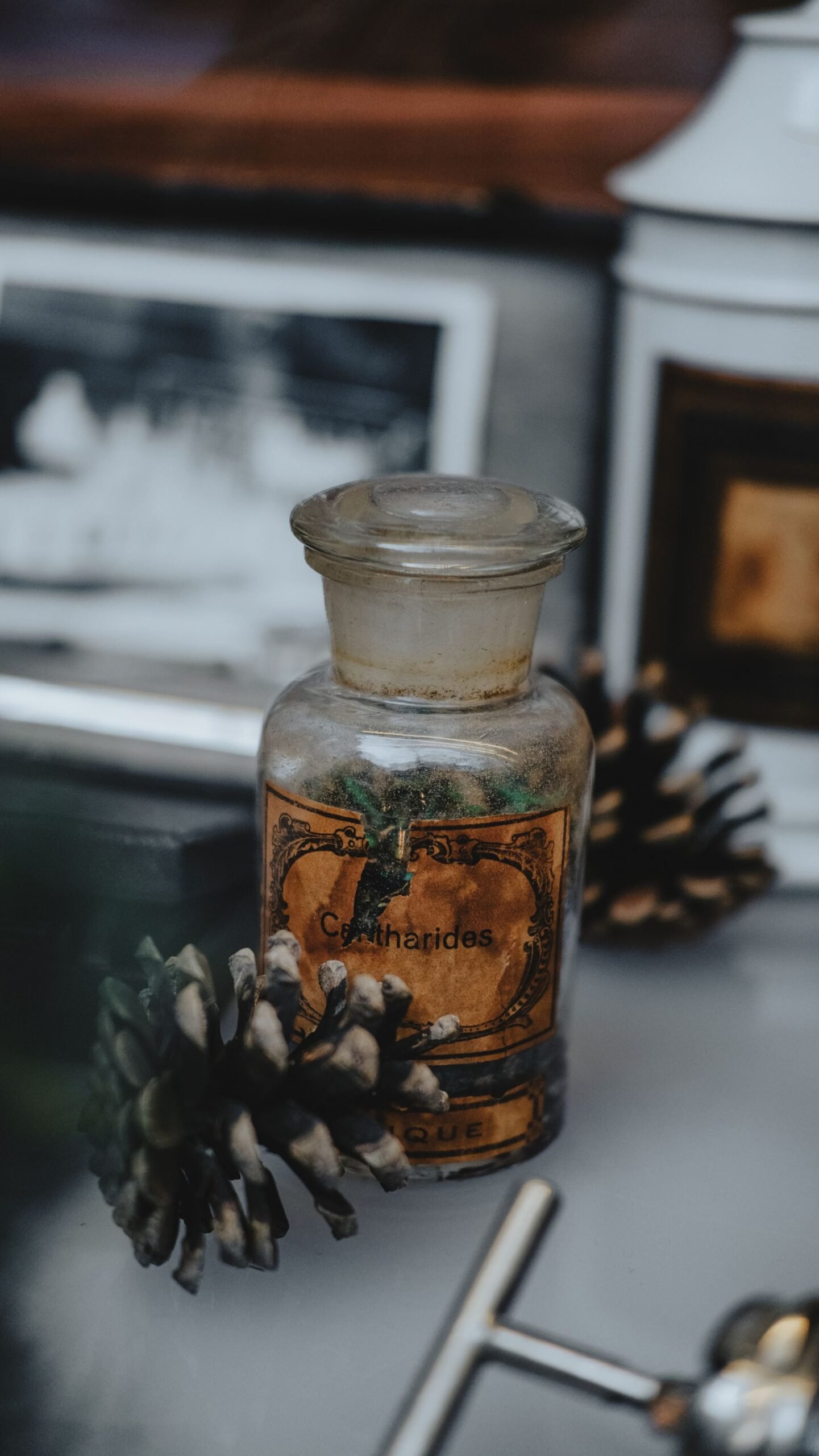 Vintage apothecary jar on a reflective surface with pinecones