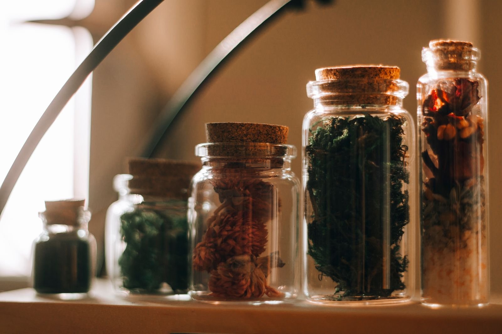 Glass jars filled with dried herbs in warm natural light